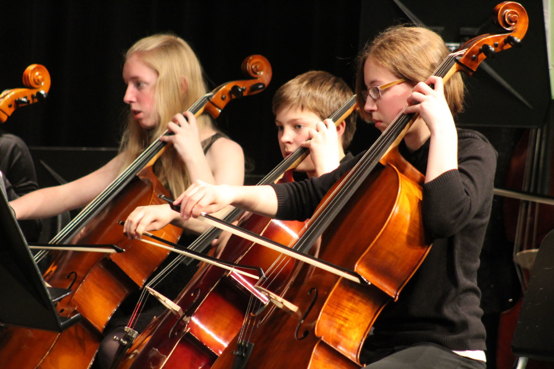 BD Orchestras spring concert 2019 004.JPG